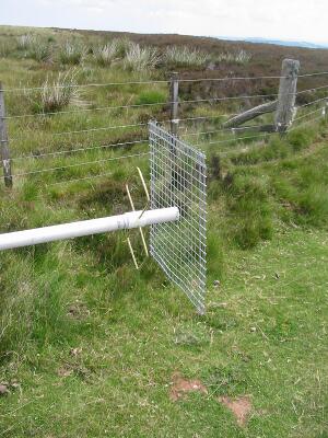 23cm Feed with reflector