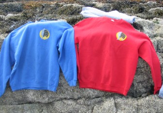 [PCA sweatshirts (31kb)]