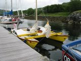 Sunshine at Craobh