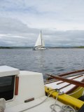 Toroa sailing